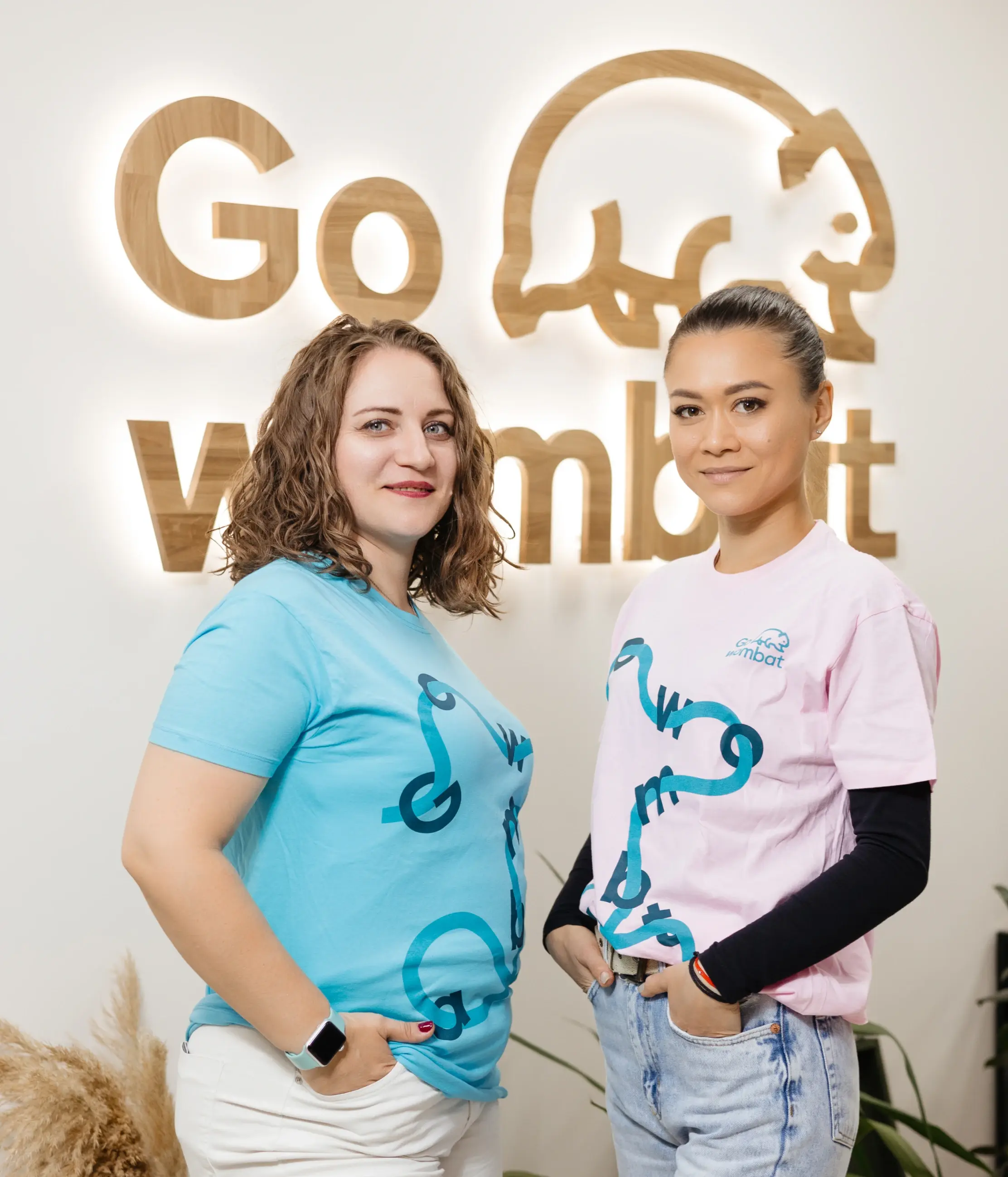 Go Wombat as a <span>Data Visualisation</span> Consulting Company