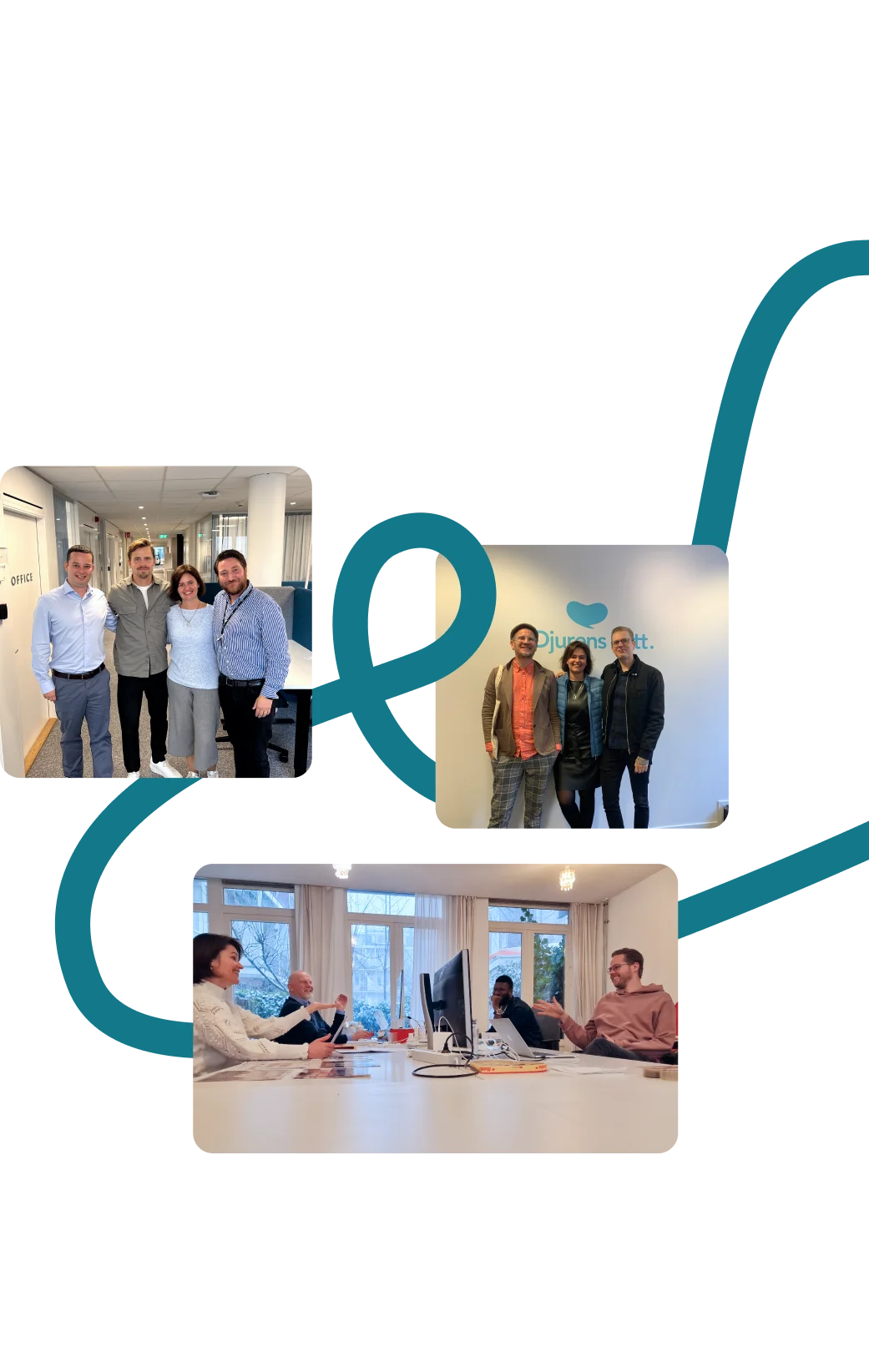 Partnership with Go Wombat