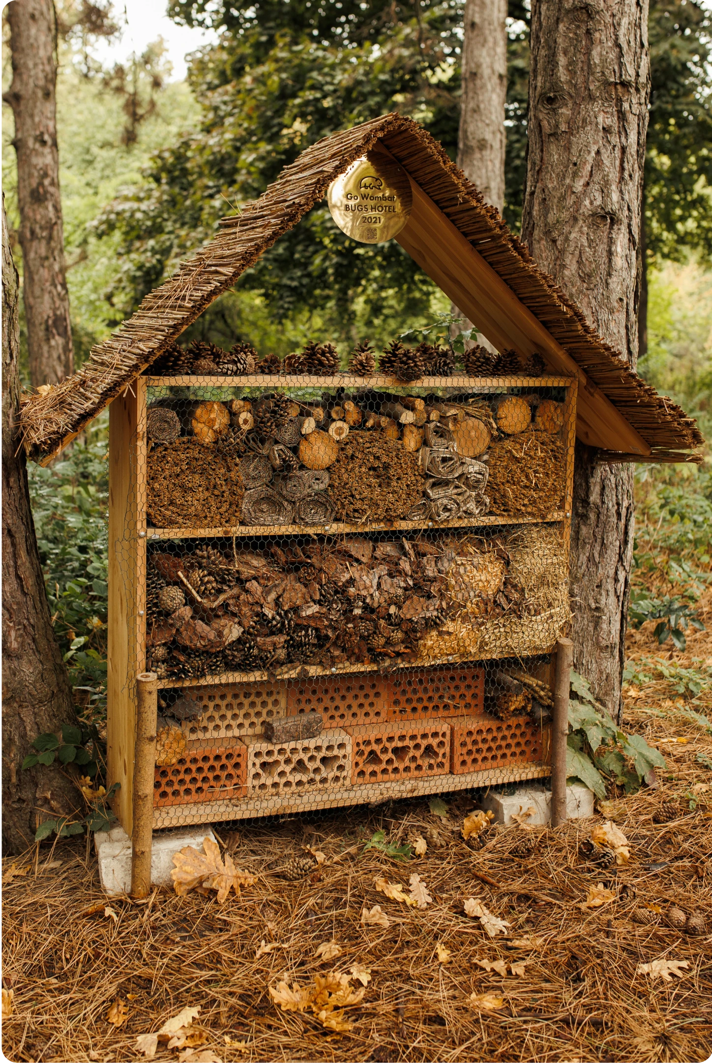 photo-bug-hotel-4