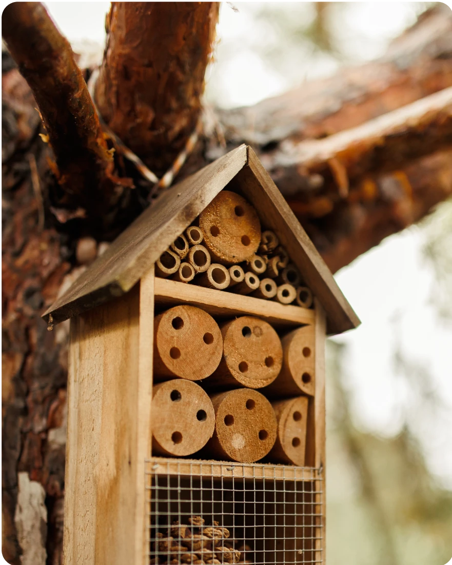 photo-bug-hotel-6