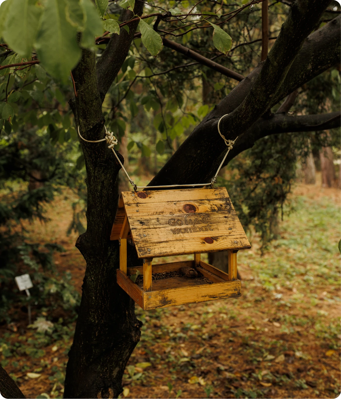 photo-bug-hotel-1